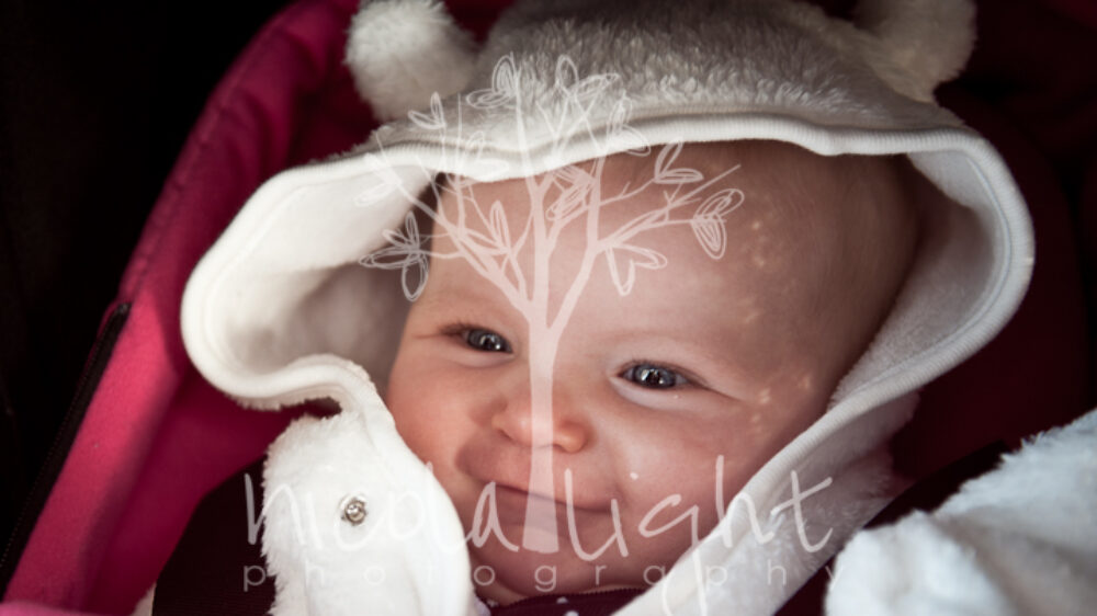 Brewer Jan 2013 Gallery Files-54