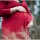 Maternity Photography Surrey