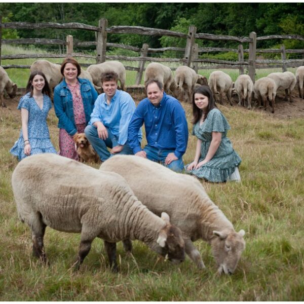 family with sheep