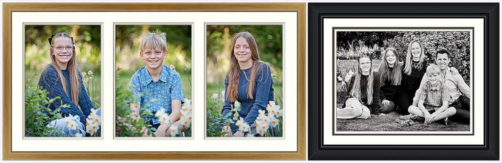 frame examples 